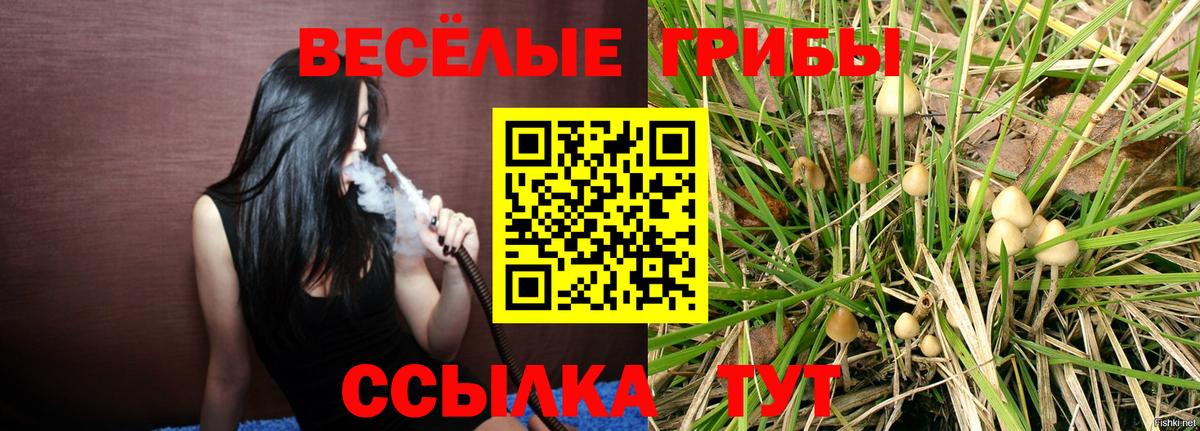 APVP Сергиев Посад